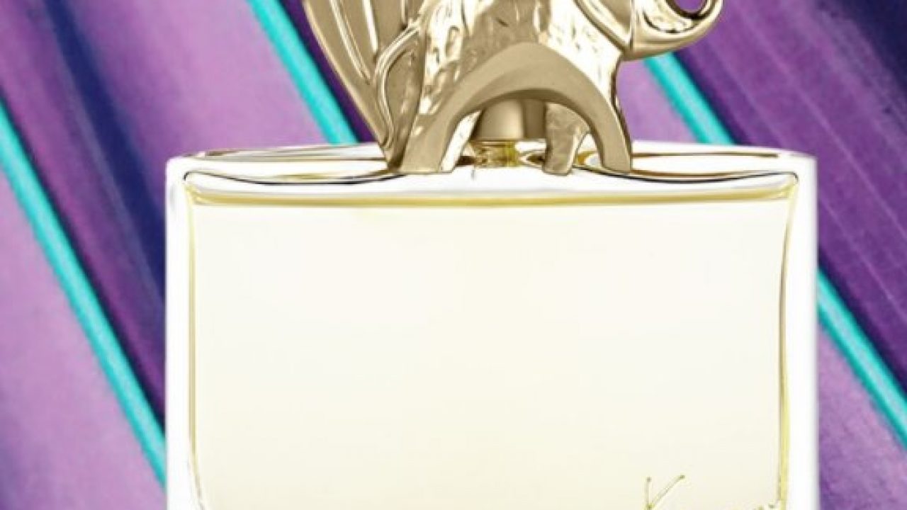 kenzo jungle elephant 100ml nocibe